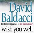 Cover Art for 9781509855537, Wish You Well by David Baldacci