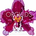 Cover Art for 9781902686158, Orchids: The Fine Art of Cultivation by Mark Griffiths