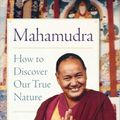 Cover Art for 9781614293958, Mahamudra: How to Discover Our True Nature by Lama Yeshe