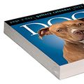 Cover Art for 9781523516483, Dog Page-A-Day(r) Gallery Calendar Refill Pack 2023 by Workman Calendars