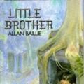 Cover Art for 9780003300413, Cascades - Little Brother Hb by Allan Baillie