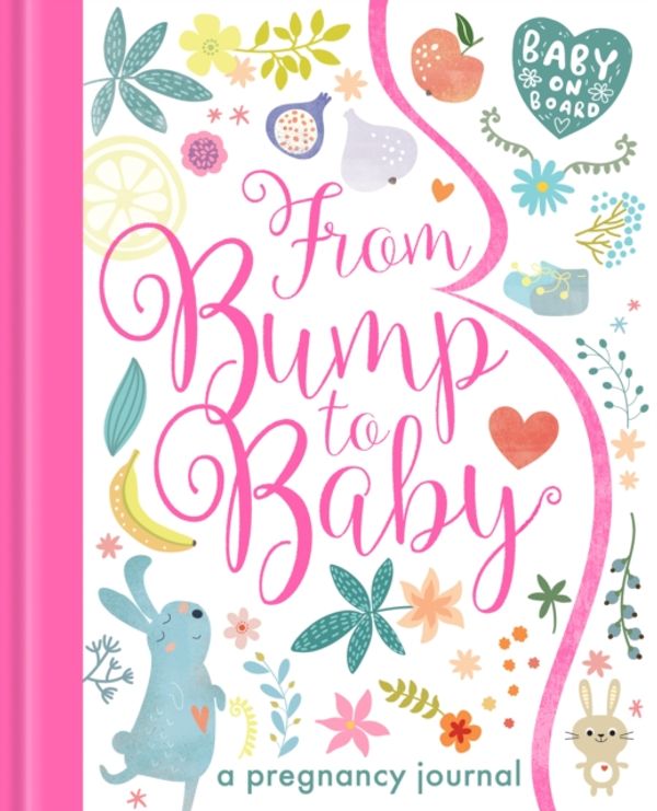 Cover Art for 9781848695573, From Bump to BabyA Pregnancy Journal by Not Available (NA)