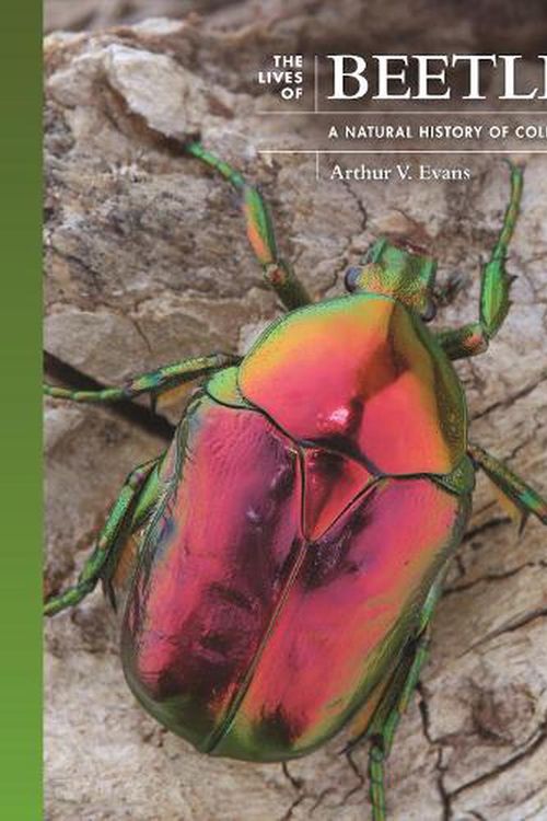 Cover Art for 9780691236513, The Lives of Beetles: A Natural History of Coleoptera (The Lives of the Natural World) by Evans, Arthur V.
