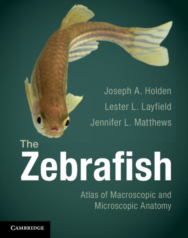 Cover Art for 9781107621343, The Zebrafish by Joseph A. Holden