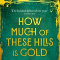 Cover Art for 9780349011455, How Much of These Hills is Gold by C Pam Zhang
