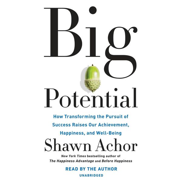 Cover Art for 9780525532378, Big Potential by Shawn Achor