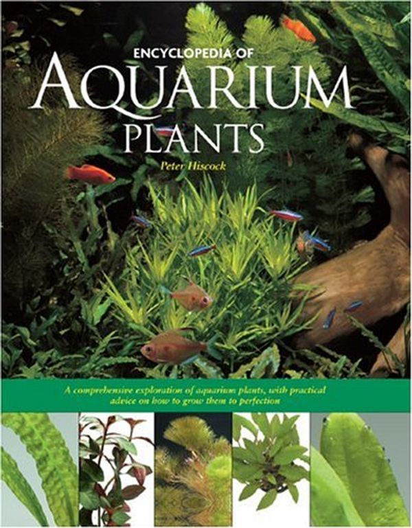 Cover Art for 9780764155215, Encyclopedia of Aquarium Plants by Peter Hiscock