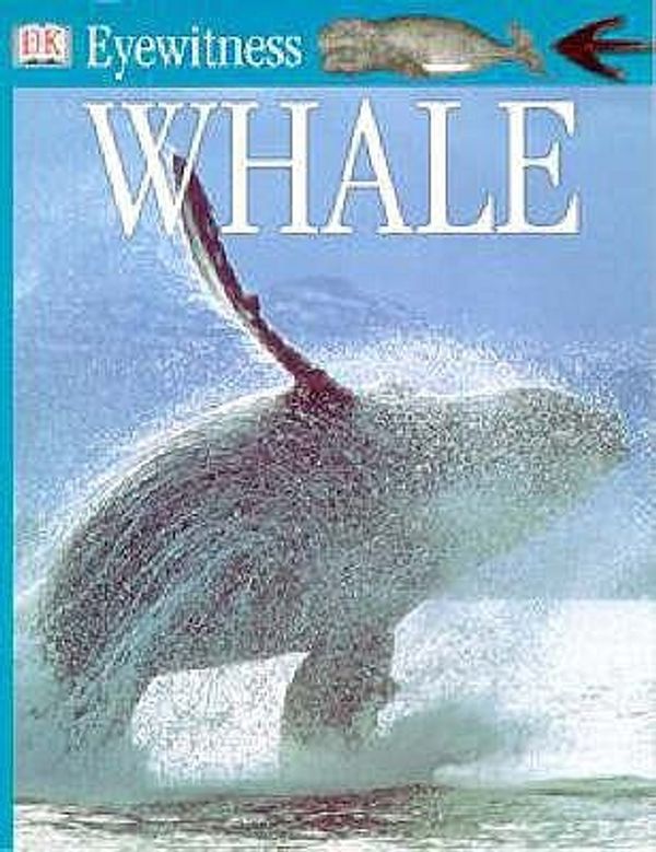 Cover Art for 9780751347531, Whale by Vassili Papastavrou