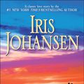 Cover Art for 9780553593440, Notorious by Iris Johansen