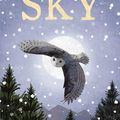 Cover Art for 9781788953283, Sky by Holly Webb