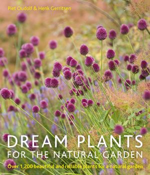 Cover Art for 9780711234628, Dream Plants for the Natural Garden by Piet Oudolf, Henk Gerritsen