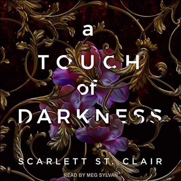 Cover Art for 9798200225798, A Touch of Darkness by Scarlett St. Clair