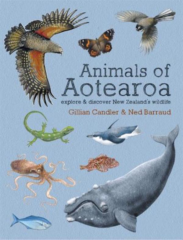 Cover Art for 9780947503895, Animals of Aotearoa: Explore & discover New Zealand's wildlife by Gillian Candler, Ned Barraud