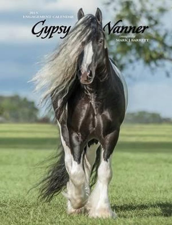 Cover Art for 9781623435134, 2015-Gypsy Vanner Horse 2015 Engagement Calendar by Willow Creek Press (Corporate Author)
