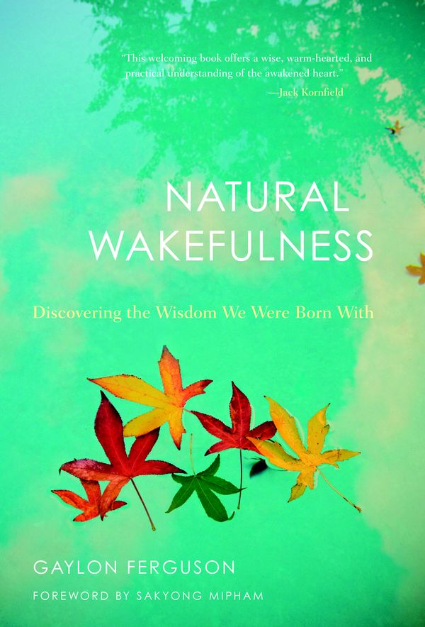 Cover Art for 9781590307694, Natural Wakefulness by Gaylon Ferguson