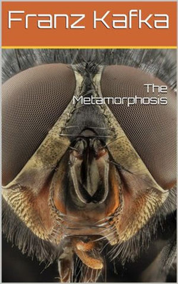 Cover Art for 9788829550999, Metamorphosis by Franz Kafka