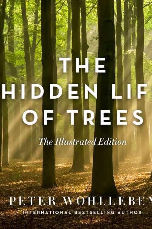 Cover Art for 9781760640767, Hidden Life of Trees (Illustrated edition), The by Peter Wohlleben