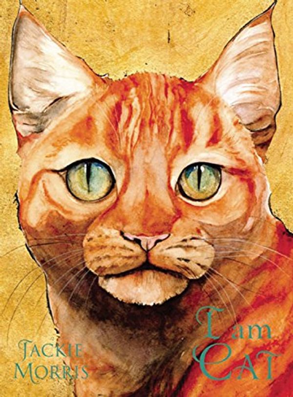 Cover Art for 9781847805072, I am Cat by Jackie Morris