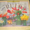 Cover Art for 9781852835088, Beautiful Bulbs: Simple Secrets for Glorious Gardens - Indoors and Out (Garden Style S.) by Georgeanne Brennan