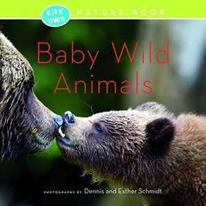 Cover Art for 9781772030907, Baby Wild Animals by Dennis Schmidt