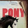 Cover Art for 9781432897505, Pony by R J. Palacio