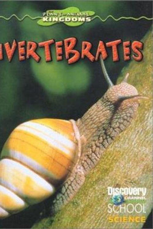 Cover Art for 9780836832167, Invertebrates (Discovery Channel School Science: Physical Science) by Margaret Carruthers