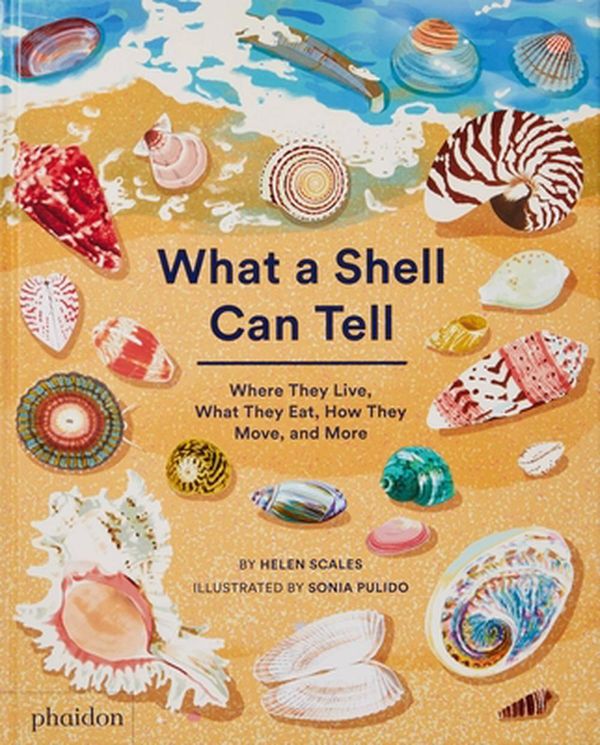 Cover Art for 9781838664312, What a Shell Can Tell by Helen Scales