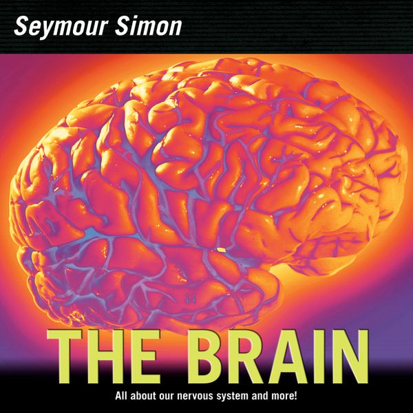 Cover Art for 9780060877194, The Brain by Seymour Simon