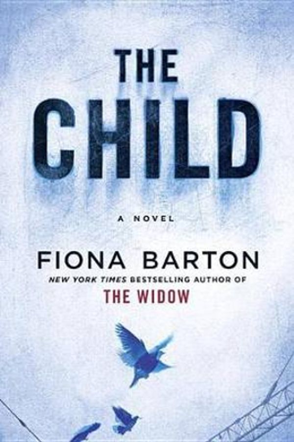 Cover Art for 9781524778415, The Child by Fiona Barton