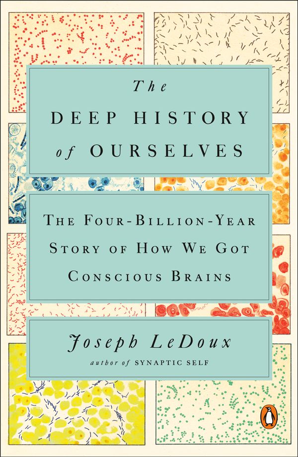 Cover Art for 9780735223851, The Deep History of Ourselves by Joseph LeDoux