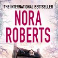 Cover Art for 9780749958602, Dark Witch by Nora Roberts
