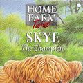 Cover Art for 9780340699850, Skye the Champion by Jenny Oldfield