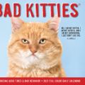 Cover Art for 9781549214172, Bad Kitties 2021 Box Calendar by Willow Creek Press