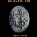 Cover Art for B004D4Y97E, Voices of Gnosticism: Interviews with Elaine Pagels, Marvin Meyer, Bart Ehrman, Bruce Chilton and Other Leading Scholars by Miguel Conner