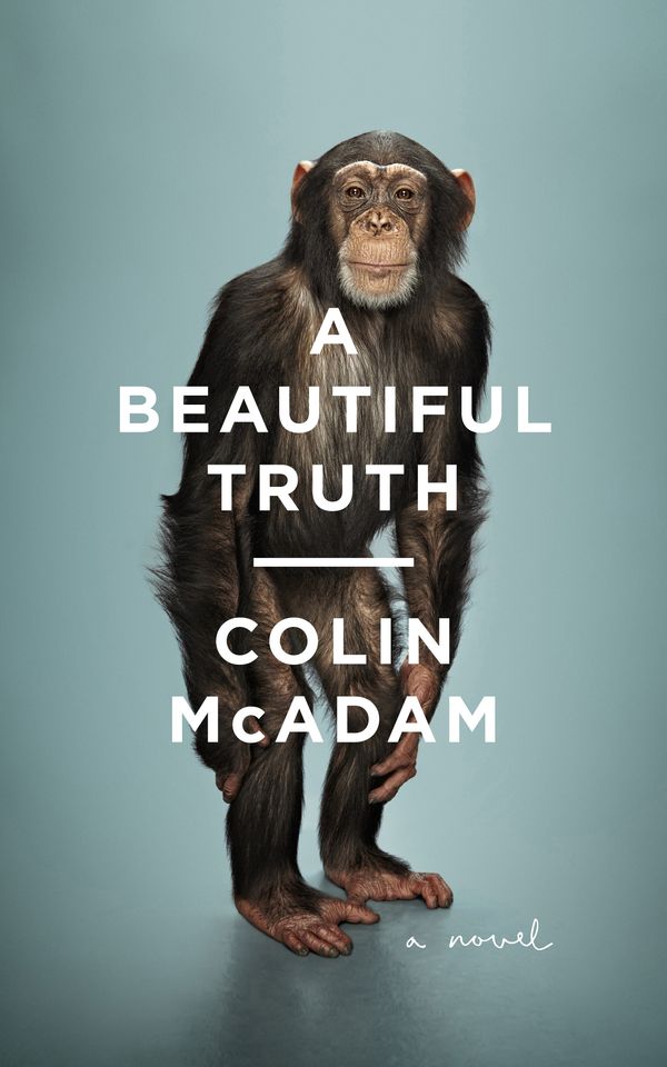 Cover Art for 9781847088475, A Beautiful Truth by Colin McAdam