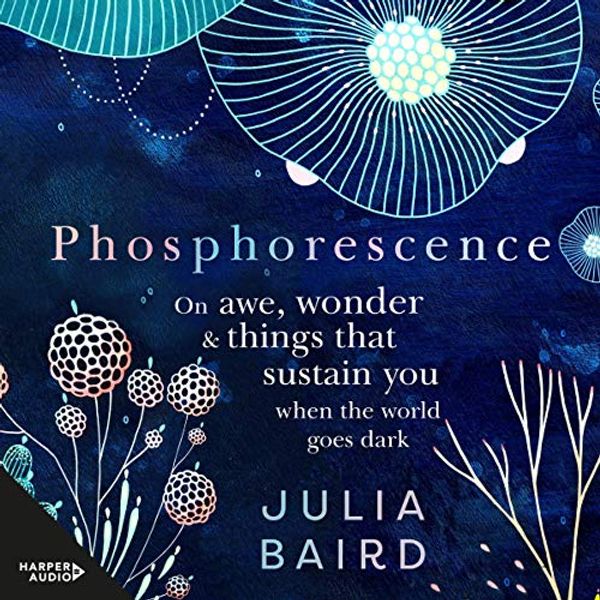 Cover Art for B07YNSN13H, Phosphorescence by Julia Baird
