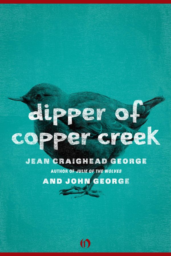 Cover Art for 9781453223352, Dipper of Copper Creek by Jean Craighead George, John George