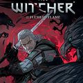 Cover Art for B07N5H51LK, The Witcher Volume 4: Of Flesh and Flame by Aleksandra Motyka