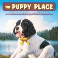 Cover Art for 9781338212686, Louie (The Puppy Place #51) by Ellen Miles