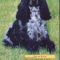 Cover Art for 9781860540394, Pet Owner's Guide to Cocker Spaniels by Frank Kane