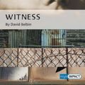 Cover Art for 9780435215071, High Impact Set C Fiction: Witness by Belbin, Mr David