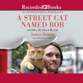 Cover Art for 9781490601472, A Street Cat Named Bob by James Bowen