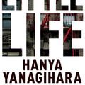 Cover Art for 9781447294825, A Little Life by Hanya Yanagihara