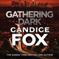 Cover Art for 9781787462069, Gathering Dark by Candice Fox