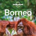 Cover Art for 9781743213940, Lonely Planet Borneo (Travel Guide) by Lonely Planet