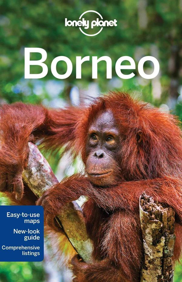 Cover Art for 9781743213940, Lonely Planet Borneo (Travel Guide) by Lonely Planet