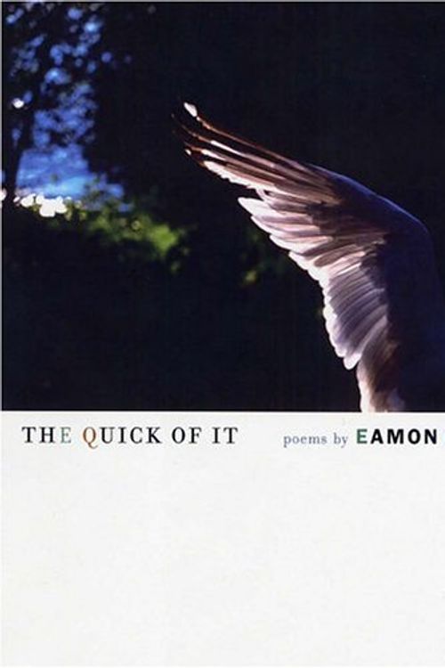 Cover Art for 9781555974183, The Quick of It by Eamon Grennan