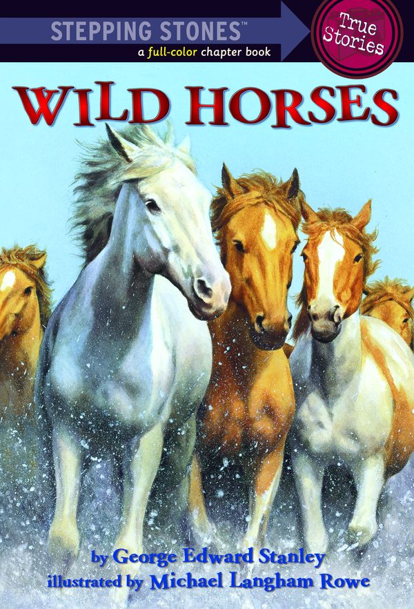 Cover Art for 9780307549358, Wild Horses by Martin Harbury