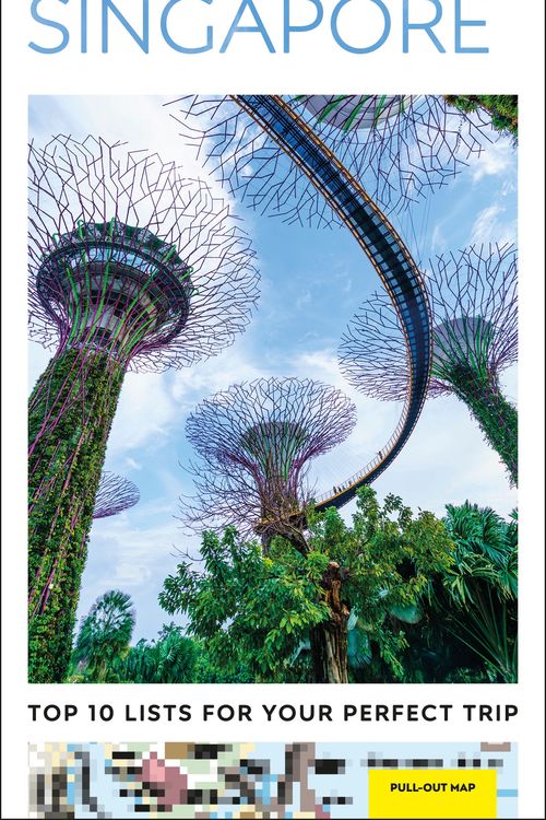 Cover Art for 9780241568927, DK Eyewitness Top 10 Singapore (Pocket Travel Guide) by DK Eyewitness