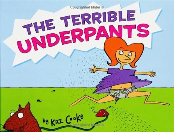 Cover Art for 8601416081427, The Terrible Underpants: Written by Kaz Cooke, 2003 Edition, Publisher: Hyperion Books [Hardcover] by Kaz Cooke
